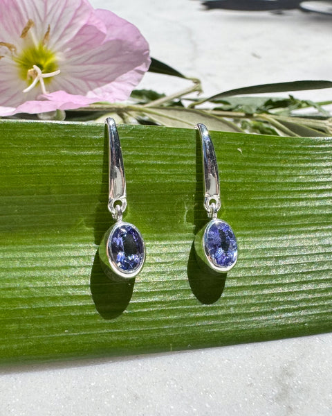 Tanzanite Silver Earrings